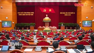 Bản tin Trưa ngày 08/10/2025