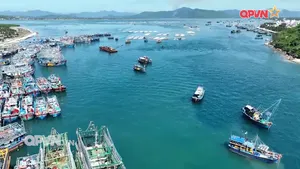 Thời sự Quốc phòng ngày 26/10/2025