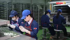 STV-380 "Made in Việt Nam"