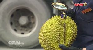 Bản tin Ngày mới ngày 02/11/2025