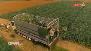 Rubik Cuộc sống ngày 02/11/2025