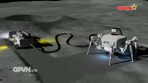 Bản tin Quốc tế ngày 04/11/2025