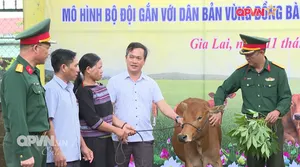 Tin Cuối ngày ngày 11/11/2025