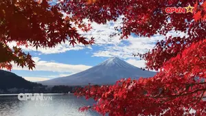 Rubik Cuộc sống ngày 15/11/2025