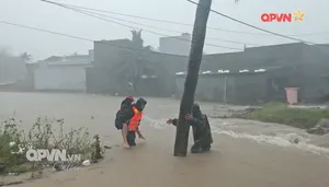 Bản tin Trưa ngày 19/11/2025