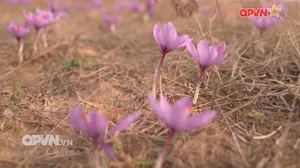 Rubik Cuộc sống ngày 06/12/2025