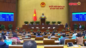 Bản tin Trưa ngày 10/12/2025