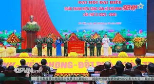 Bản tin tiếng Trung 16h ngày 11/12/2025