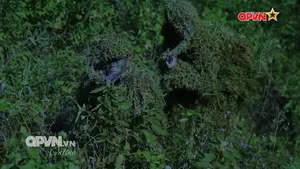 Chuẩn bị chu đáo cho năm huấn luyện 2026