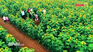 Rubik Cuộc sống ngày 17/12/2025