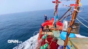 Giảm nghèo ở vùng biển, đảo Cà Mau