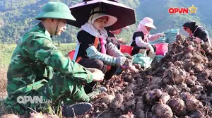 Rubik Cuộc sống ngày 22/12/2025