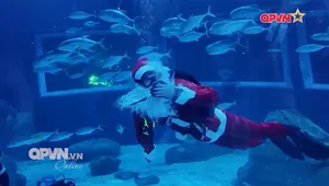 Bản tin Quốc tế ngày 24/12/2025