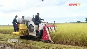 Bản tin Trưa ngày 29/12/2025