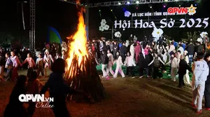 Lên biên giới mùa hoa sở