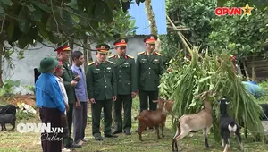 Những người gieo hạt lành no ấm