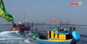 Bản tin tiếng Anh 15h ngày 08/01/2026