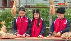 Sống đời lúa gạo