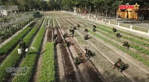 Bản tin Trưa ngày 11/01/2026