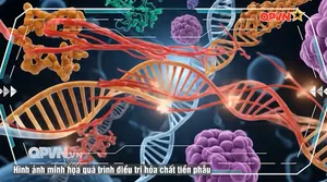 Điều trị tiền phẫu