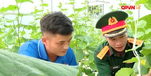 Bản tin tiếng Trung 16h ngày 12/01/2026