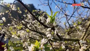 Ngày mới với QPVN - Số 16