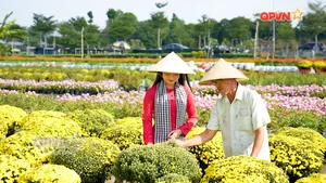 Sắc hoa miền Tây