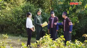 Nội dung quản lý nhà nước về biên giới quốc gia - Phần 2