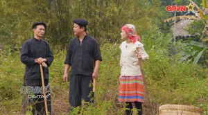 Các hành vi bị nghiêm cấm về biên giới quốc gia - Phần 4