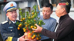 Bản tin Trưa ngày 31/01/2026