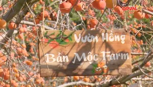 Ngày mới với QPVN - Số 25