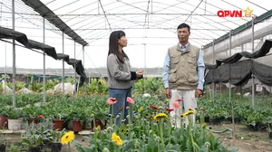 Ngày mới với QPVN - Số 33