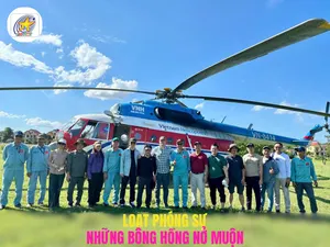 Những bông hồng nở muộn