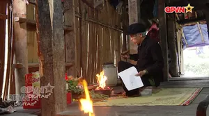 Đi tìm đồng đội - Số 323