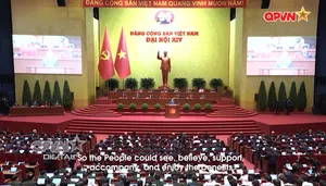 Tựa gốc để vươn mình