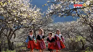 Sắc xuân vùng cao