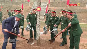 Tết trồng cây: vì cộng đồng, vì tương lai bền vững