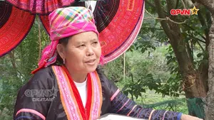 Bản tin Ngày mới ngày 20/9/2025