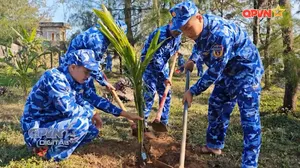 Rộn ràng Tết trồng cây