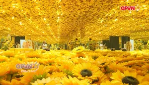 Ngày mới với QPVN 08/3/2026