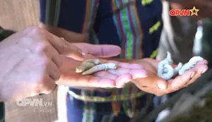 Sợi tơ nghĩa tình