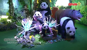 Ngày mới với QPVN 20/3/2026