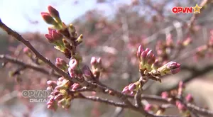 Ngày mới với QPVN 23/3/2026