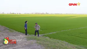 Nhiệm vụ chủ yếu về y tế và dân số - Phần 2