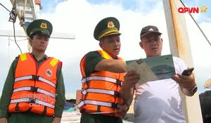 Thành phố Hồ Chí Minh xây dựng nghề cá bền vững