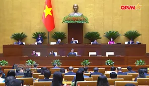 Bản tin Trưa ngày 24/4/2026