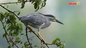 Bản tin Ngày mới ngày 14/05/2026