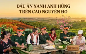 Binh đoàn 15: Dấu ấn xanh anh hùng trên cao nguyên đỏ