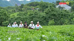 Giữ nhịp Sênh Tiền - Gắn kết lòng dân