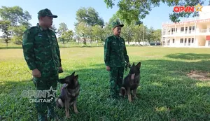 Trong từng nhịp thở
